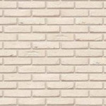 რუსტიკული ფილა