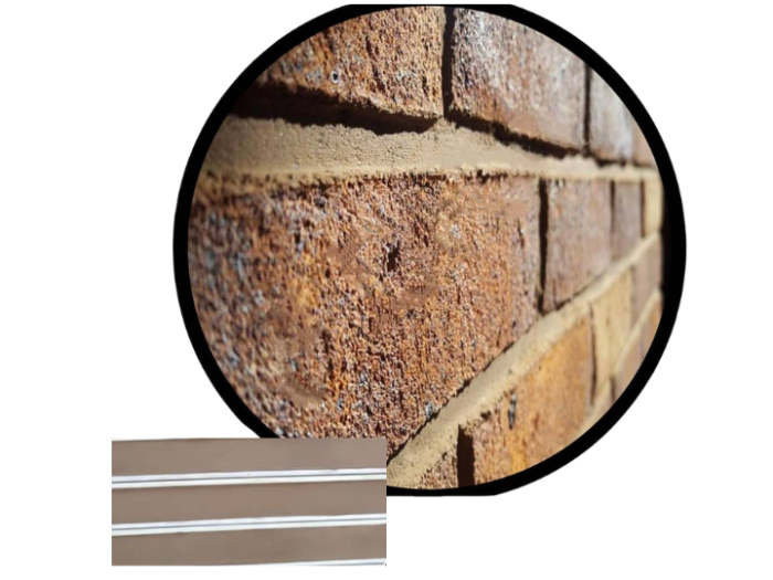 ფუგა ღია ყავისფერი